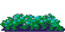 Bush 1
